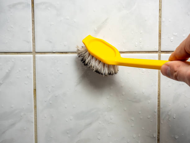 Best Health and Safety Mold Remediation in Grosse Pointe, MI